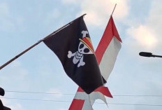 Ketua MPR Soal Bendera One Piece: Itu Ekspresi Kreativitas, Jangan Terlalu Kaku