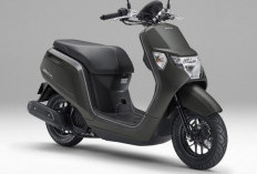 Honda Dunk Terbaru Meluncur, Skutik Rp 20 Jutaan dengan BBM Super Irit