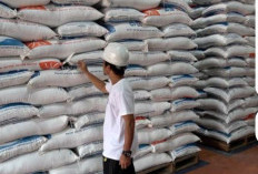 Gaspol Ketahanan Pangan! Lahan untuk Gudang Bulog Disiapkan di Sumsel
