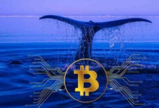 Whale Meraih Keuntungan Besar di Tengah Kekacauan Token TRUMP