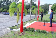 Upacara Otonomi,Wabup Minta Semua Elemen Berkontribusi Membangun Daerah