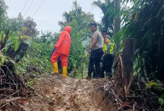 Lagi, OKU Selatan Dilanda Longsor, Akses Jalan Sungai Are Terganggu
