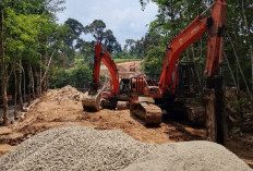 Pemdes Karang Agung Bangun Jembatan Utama Bagi Warga