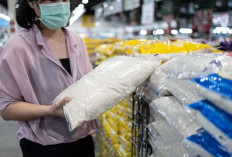 Sempat Hilang, Beras Premium Mulai Muncul di Ritel