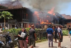Tiga Rumah di Gedung Wani Ludes Dilalap Api, Warga Panik Siang Hari