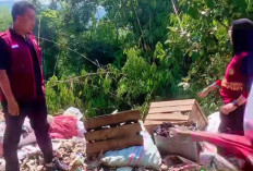Dinas Lingkungan Hidup OKU Selatan Sidak Sampah Liar di Pulau Beringin
