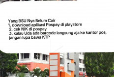 Penerima BSU Wajib Simak! Ini Langkah Cek dan Cairkan Bantuan Subsidi Upah