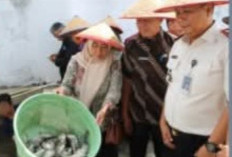 Lapas Muaradua Gelar Panen Raya Serentak, Hasil Panen Disalurkan untuk Bantuan Kemanusiaan