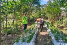 Waspada Curanmor di Perkebunan, Bhabinkamtibmas Polsek Kisam Tinggi Ingatkan Warga Gunakan Kunci Ganda