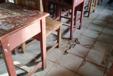 Miris Banget! Sekolah di Tengah Kota OKUS Ternyata Masih Banyak yang Rusak