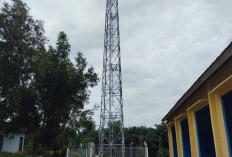 Puluhan Tahun Tanpa Jaringan, Warga Desa Datar Harapkan Tower Telekomunikasi