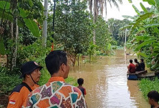 BPBD: 103 rumah warga di OKU Sumsel terdampak banjir