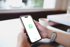 WhatsApp Uji Paket Premium, Chat Bisa Dipin Hingga 20 Percakapan