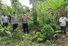 Penemuan Kerangka Manusia Bikin Heboh Warga Desa Kota Way Buay Pemaca