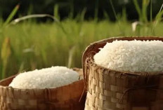212 Merek Beras Diduga Dioplos, Negara Rugi Rp99 Triliun per Tahun