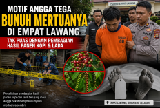 Motif Angga Tega Bunuh Mertuanya di Empat Lawang, Tak Puas dengan Pembagian Hasil Panen Kopi dan Lada
