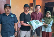 Harga Beras Melejit, Petani Minta Solusi dari Pemerintah