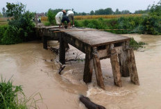 Jembatan Penghubung Desa Taraman Jaya dan Sukamulya Putus