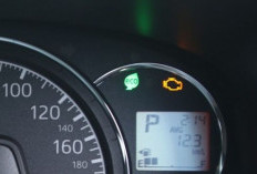 Bukan Sekadar Pajangan, Ini Fungsi Indikator Eco pada Mobil