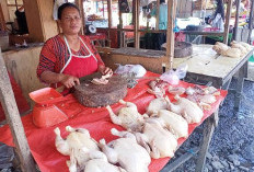 Jelang Tahun Baru Harga Daging Ayam Alami Kenaikan