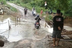 Jalan Provinsi di Payaraman Kabupaten Ogan Ilir Terancam Lumpuh