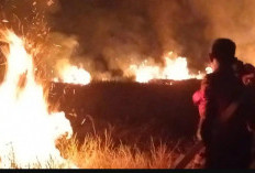 Dalam Sehari, 20 Hektare Lahan Terbakar di Ogan Ilir, Api Tersebar di Tiga Titik