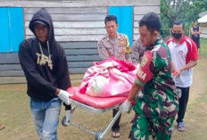 Tragedi di Bangka Barat: IRT Ditemukan Tewas, Suami Jadi Terduga Pelaku