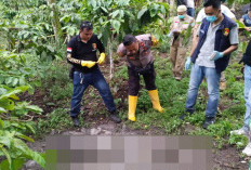 Tragis, Warga Lahat Tewas di Kebun Kopi dengan Luka dan Kaki Terikat