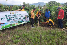 Polsek Kisam Tinggi Tanam Pohon, Wujud Nyata Kepedulian Polri terhadap Kelestarian Lingkungan⁹