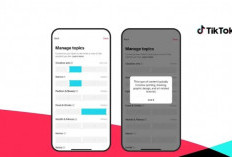 TikTok Tambah Fitur Atur Rekomendasi Konten