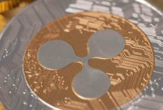 Peluang XRP Jadi Aset Cadangan AS Naik Jadi 18 Persen Menurut Polymarket