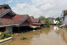 Sepanjang Tahun 2025 Ada 284 Bencana Alam yang Terjadi di Sumsel