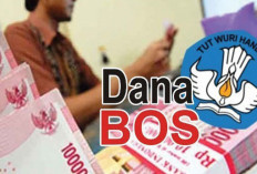 Manipulasi Data BOS di SD Negeri Sungai Lumpur, Guru Minta Kepsek Diganti