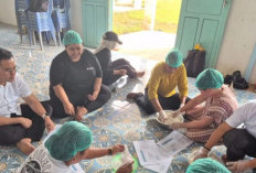 Sinar Mas Agribusiness and Food perkuat ekonomi desa melalui budidaya lele berbasis teknologi