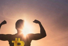 Harga Bitcoin Kembali Menguat, Analis Proyeksi Kenaikan Jangka Panjang!