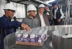 73 Ton Pakan Hewan dari Sumsel Diekspor ke Filipina, Bukti Daya Saing Produk Lokal di Pasar Internasional