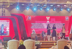 Pilkada Palembang 2024, KPU Catat Penurunan Partisipasi Pemilih