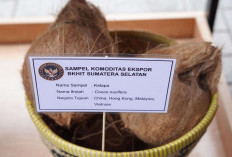 Pemprov Sumsel Luncurkan Go-Export untuk Perdagangan Internasional