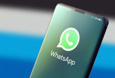 Notifikasi WhatsApp Sering Tidak Muncul di HP? Cek Pengaturan Ini