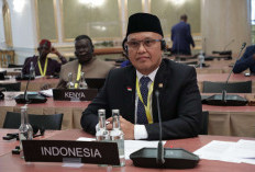 Legislator Dukung Implementasi Solusi Dua Negara Palestina-Israel