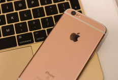 WhatsApp Tak Lagi Didukung di iPhone Lama, Pengguna Diminta Segera Upgrade