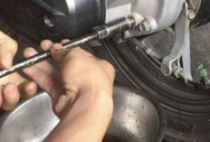 Jangan Sampai Telat Ganti Oli Gardan Motor Matik, Ini Dampaknya