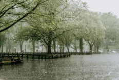 Waspada Dataran Tinggi OKU Selatan Berpotensi Cuaca Ekstrem Hari Ini