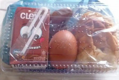 Kualitas MBG Dikeluhkan Tak Seragam, Pemprov Sumsel Minta Dapur Wajib Ikuti Standar