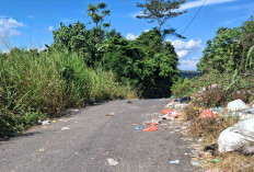 Sampah Dijalan Menuju Desa Pendagan Makin Menumpuk, Berpotensi Jadi TPA Liar