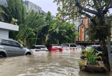 Begini Cara Penanganan Mobil Setelah Terendam Banjir, Jangan Sampai Salah Langkah
