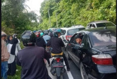 Akses Jalan Raya Ranau–Krui Macet Total0