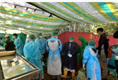 Bongkar Dugaan Rekayasa Kasus Kematian di Kebun Kopi, Polisi Gali Makam Korban di OKU Selatan