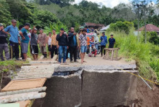 Warga Desak Perbaikan Jembatan Penghubung Teluk Agung–Air Baru, Khawatir Membahayakan Pengguna Jalan