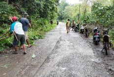 Pemerintah Desa Karang Endah dan Warga Gotong Royong Tebas Bayang, Ruas Jalan Kecamatan Kini Lebih Aman dan Ny